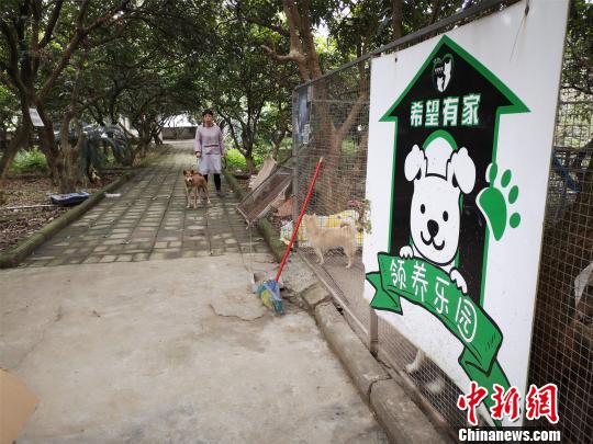 广西＂80后＂建公益组织 救上千只流浪动物