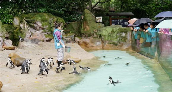 保护野生动物我们能做些什么? 上海动物园科普讲座第一课