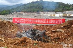 云南宁洱公开销毁158公斤野生动物死体及其制品